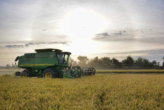 Sustainability Initiatives