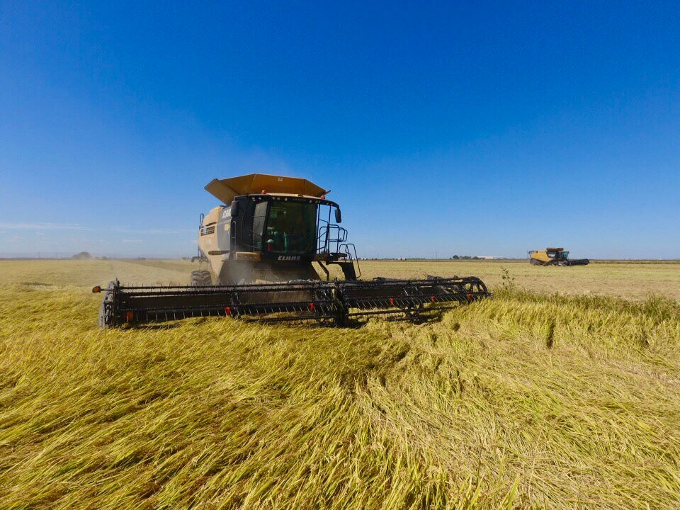 Harvest Photos