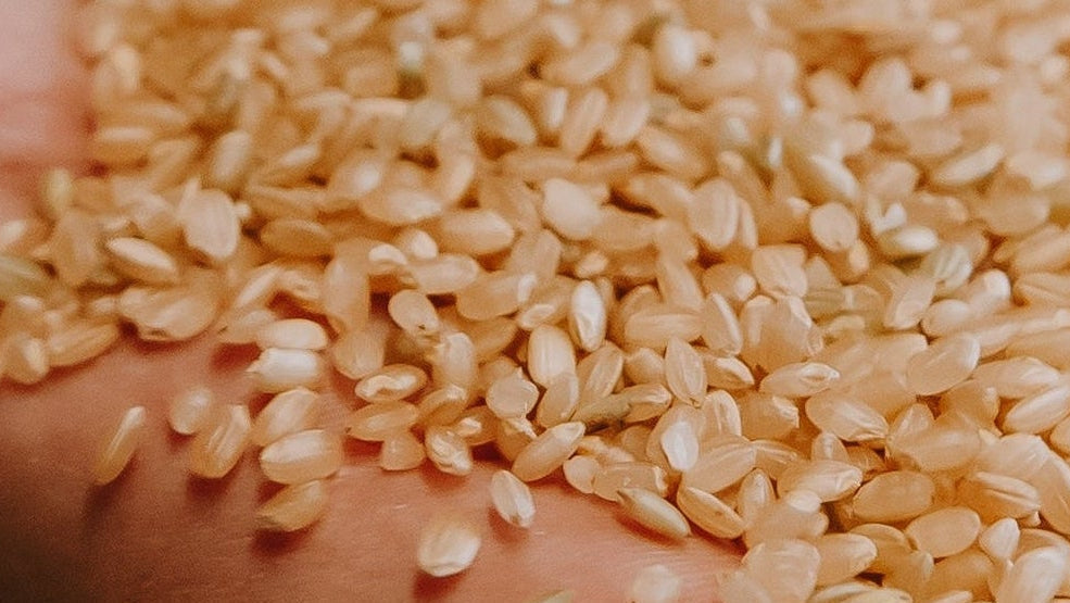 Types of Rice: A Guide to Understanding the Differences